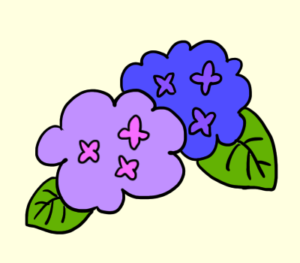 紫陽花のイラストの手書きで簡単な書き方とは 梅雨の花を描こう ゆめまがイラスト描き方