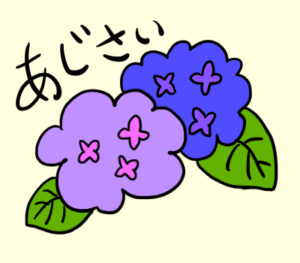 紫陽花のイラストの手書きで簡単な書き方とは？梅雨の花を描こう！ - ゆめまがイラスト描き方